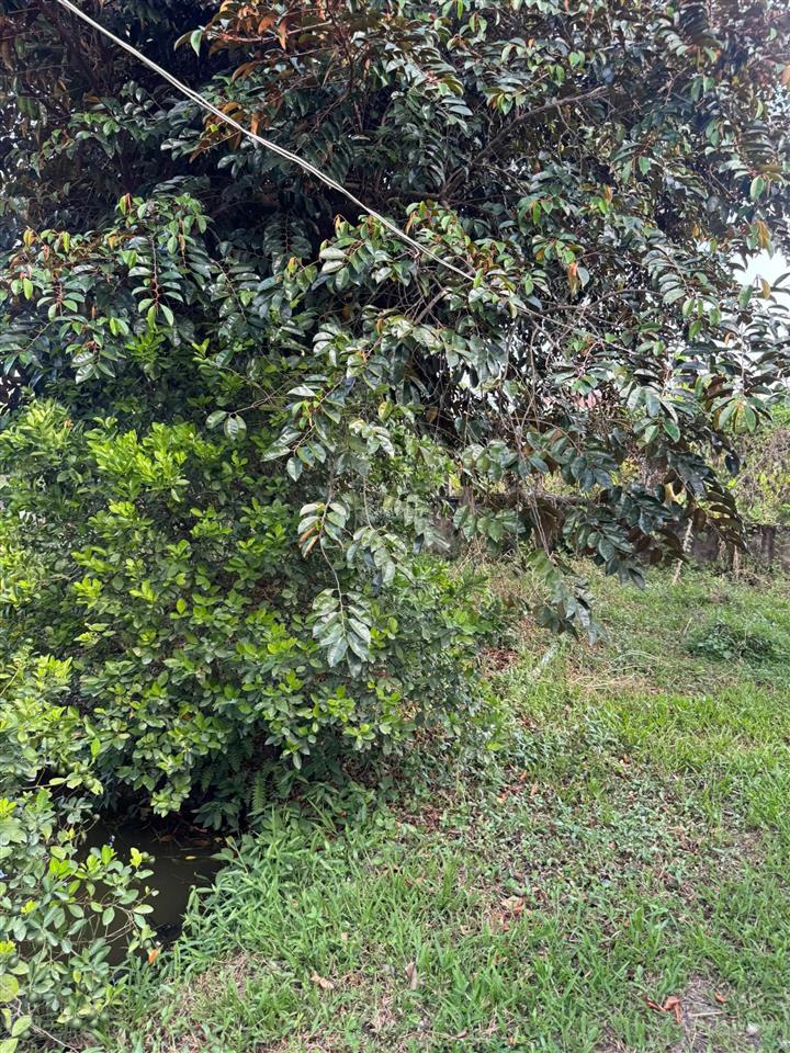 Bán đất tại xã trung an, thành phố mỹ tho, tiền giang, giá cực chất 7,8 tỷ, 2600m2
