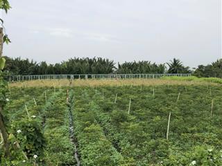 Bán đất mặt tiền đường huyện 07, xã tân thành, gò công đông, tiền giang, giá hot chỉ với 1,2 tỷ.