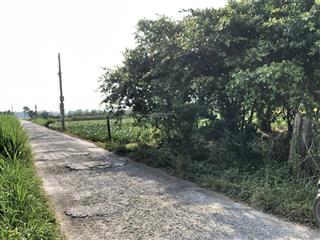 Bán đất tại xã tân thành, huyện gò công đông, tiền giang, giá tốt 800 triệu, 500m2