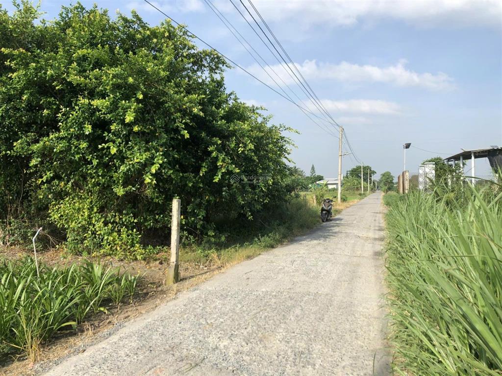 Bán đất tại xã tân thành, huyện gò công đông, tiền giang, giá tốt 800 triệu, 500m2