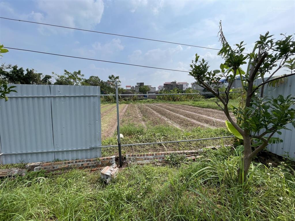 Bán đất nông nghiệp chính chủ lệ chi, gia lâm (sang tên dễ dàng)