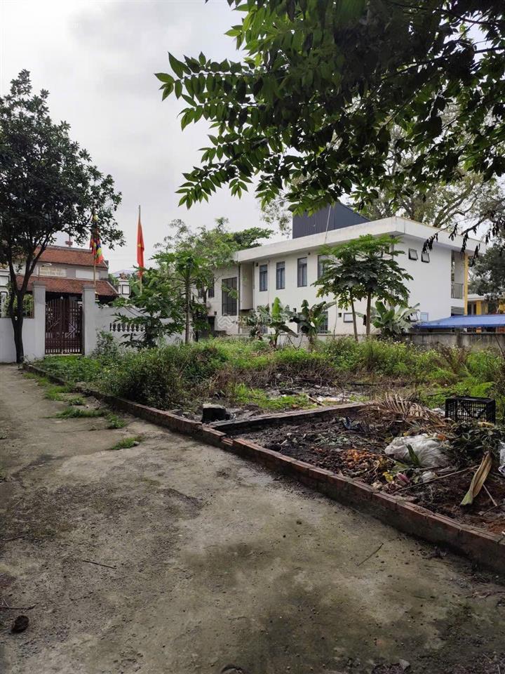 Bán mảnh đất 40m2 giá rẻ trong đê tại xã thanh oai vuông vắn, 30m ra đường ô tô tải qua