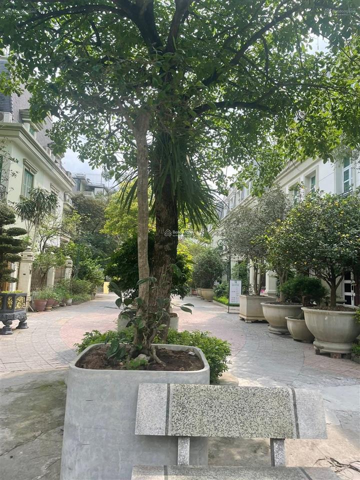 Cho thuê biệt thự mỹ đình  sông đà. (sudico) 200m. mt10m. 4 tầng. 85tr/th. 0974 687 ***