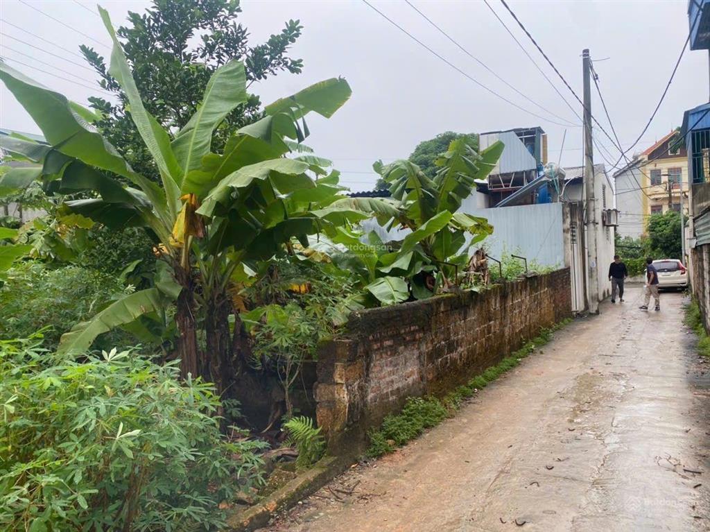 Bán 90m2 đất ngõ 90 mỹ trung  sơn tây. mt 5m. sẵn sổ. 1,3 tỷ.  0974 687 ***