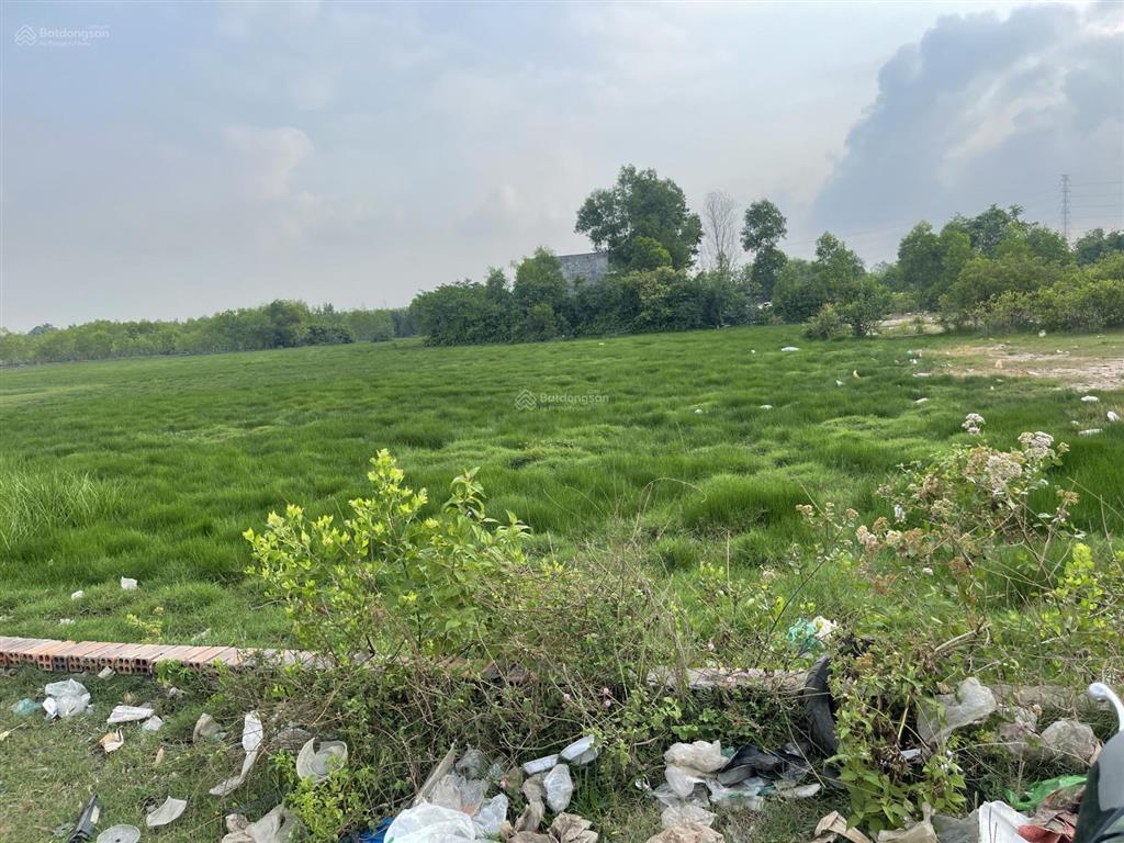 Bán đất 2199m2 tại phạm thái bường, phước khánh, nhơn trạch, đồng nai, mặt tiền rộng 36m