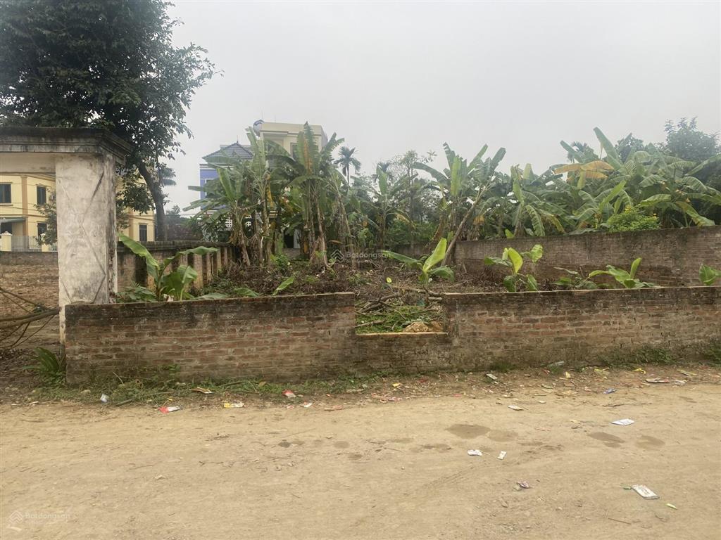 Siêu phẩm 400m2 trục chính thôn miễu ngay cổng trường đại học việt nhật, giá hơn 30tr/m2