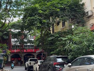 Bán biệt thự kđt mỹ đình 1. mặt tiền 11m. oto đỗ ngày đếm. chủ thiện trí bán.