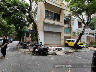 Cho thuê biệt thự kđt mỹ đình 1 lô góc 173m đối diện công viên, bàn giao ngay