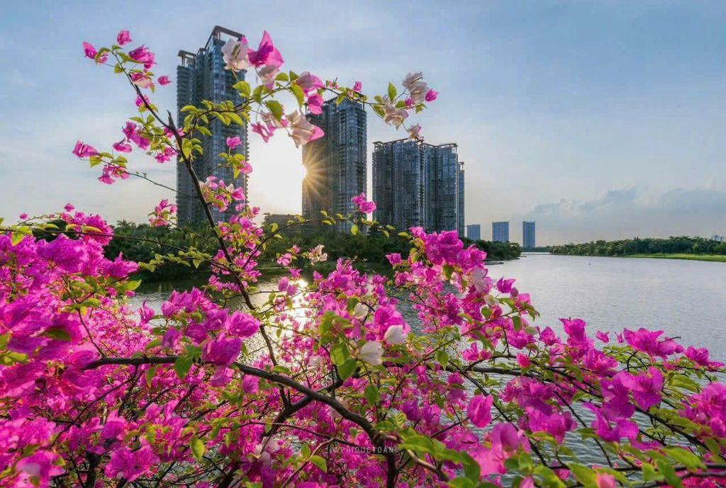 Bán căn 3pn Onsen Hoa hậu view Công viên, Sân Golf. Giá 10,x tỷ. LH 0918114743