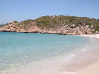 Đất full thổ gần biển đẹp giá rẻ hiếm có