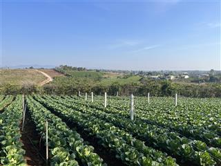 Chính chủ bán nhanh lô đất ngay chân cao tốc giảm giá 50% chỉ 1xx !