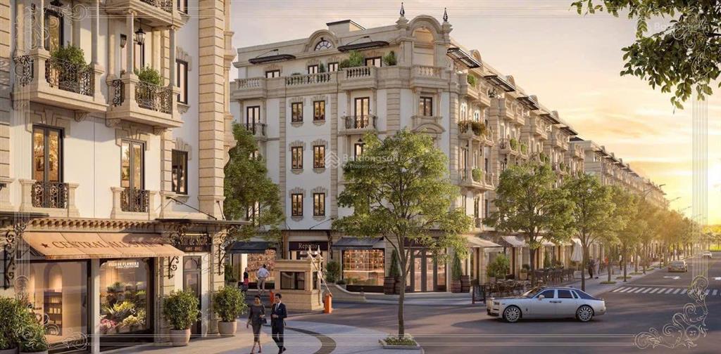 Biệt thự đơn lập mặt đường lương thế vinh  đối diện vinhomes greenbay