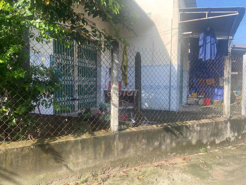 kiot phường Phú Mỹ