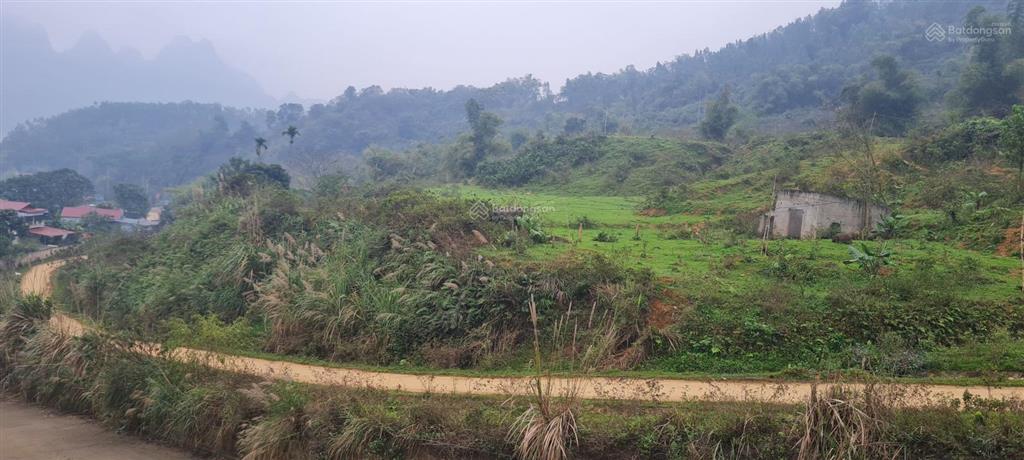 Bán lô đất 7ha view hồ tại lương sơn hòa bình cũ hiện nay là liên sơn phú thọ, giá 250 nghìn/m2