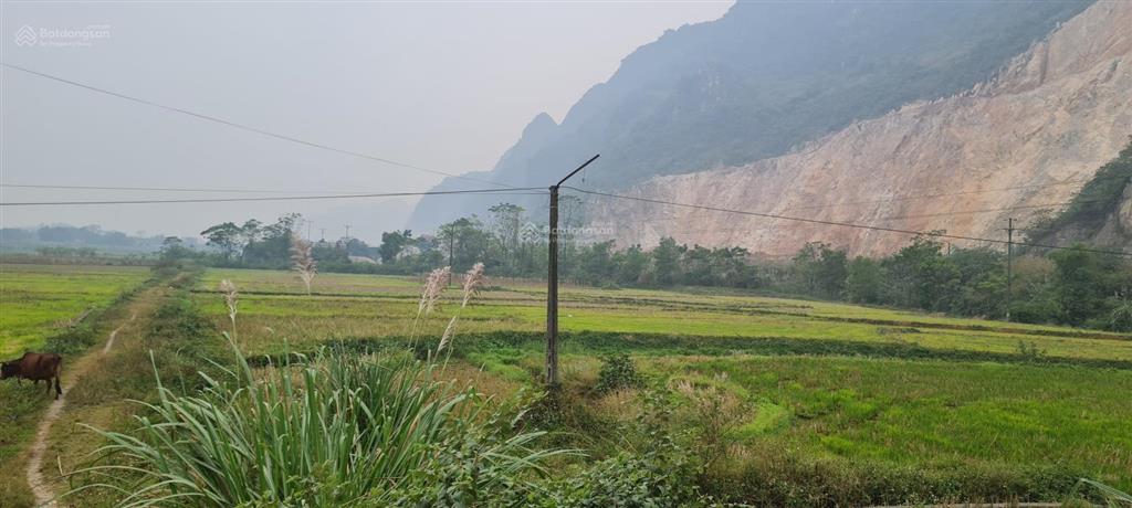 Bán mỏ đá tại xã liên sơn, phú thọ