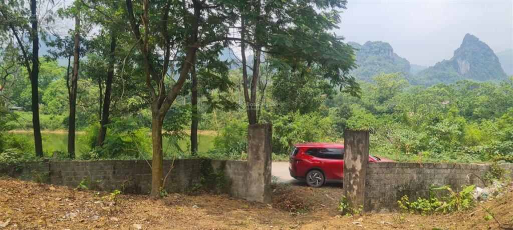 Bán đất 12.000m2 tại xã liên sơn, phú thọ, 2,8 triệu / m2