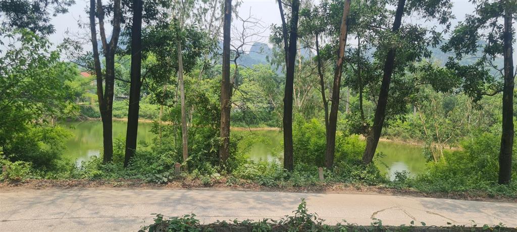 Bán đất 12.000m2 tại xã liên sơn, phú thọ, 2,8 triệu / m2