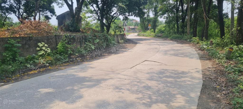 Bán đất 12.000m2 tại xã liên sơn, phú thọ, 2,8 triệu / m2