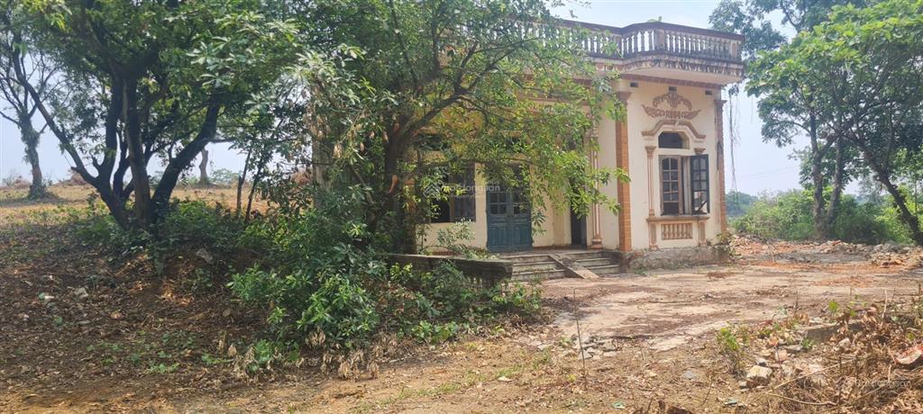 Bán đất 12.000m2 tại xã liên sơn, phú thọ, 2,8 triệu / m2