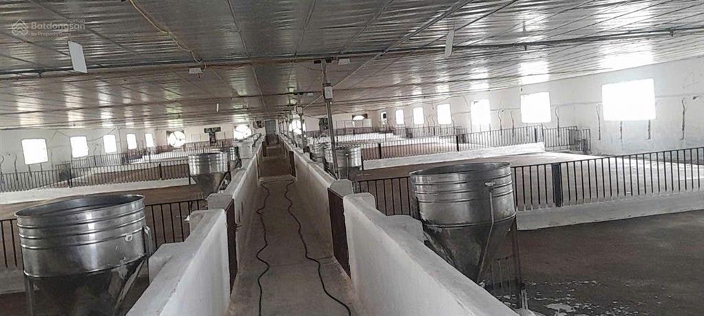 Bán trang trại, khu nghỉ dưỡng đẹp tại xã lam điền, huyện chương mỹ, hà nội, 8500m2, giá thỏa thuận