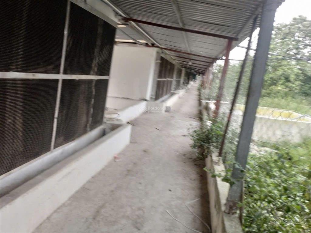 Bán trang trại, khu nghỉ dưỡng đẹp tại xã lam điền, huyện chương mỹ, hà nội, 8500m2, giá thỏa thuận