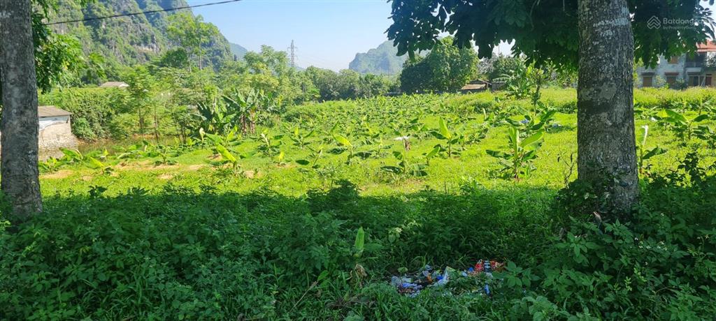 Bán đất nền tại xã liên sơn, huyện lương sơn, hòa bình, hiện nay là xã liên sơn, phú thọ