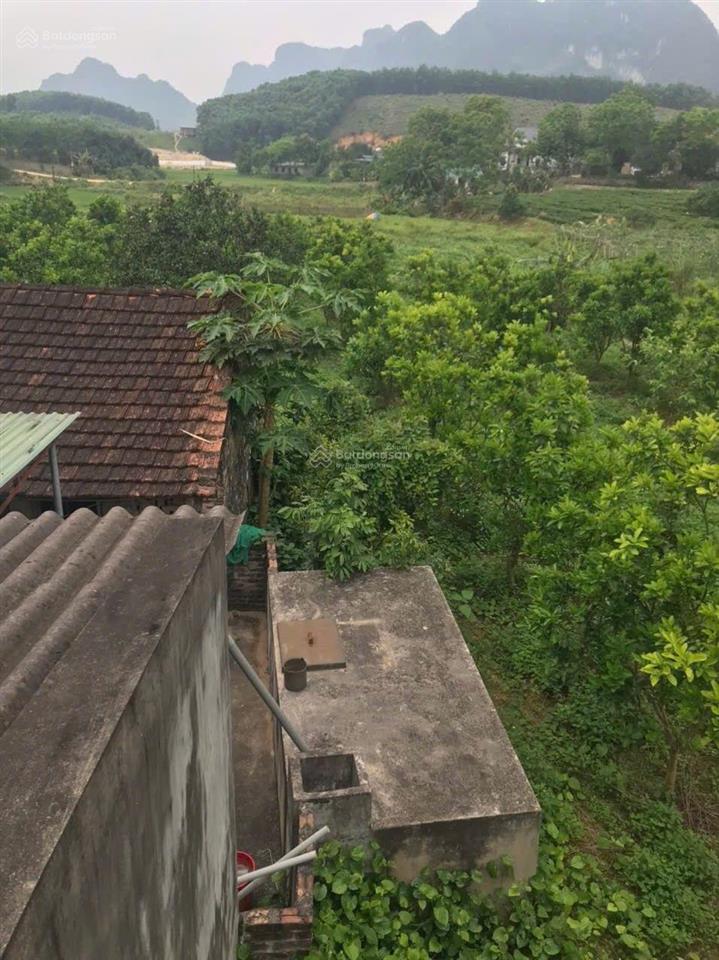 Bán đất giá rẻ tại lạc thủy, hòa bình