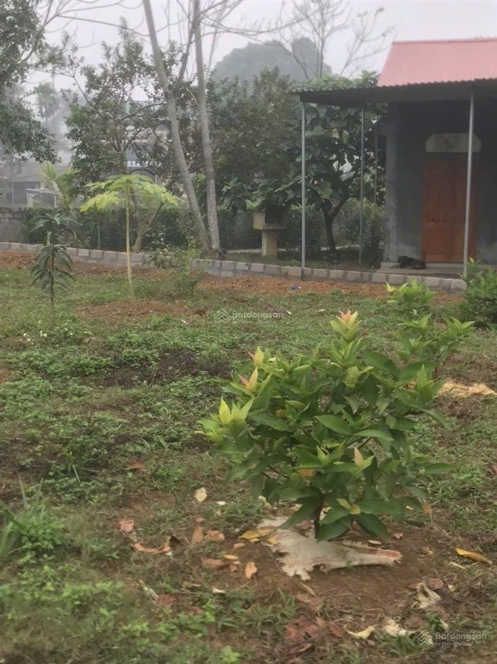 Bán đất nhà vườn nghỉ dưỡng giá rẻ tại xã liên sơn, phú thọ