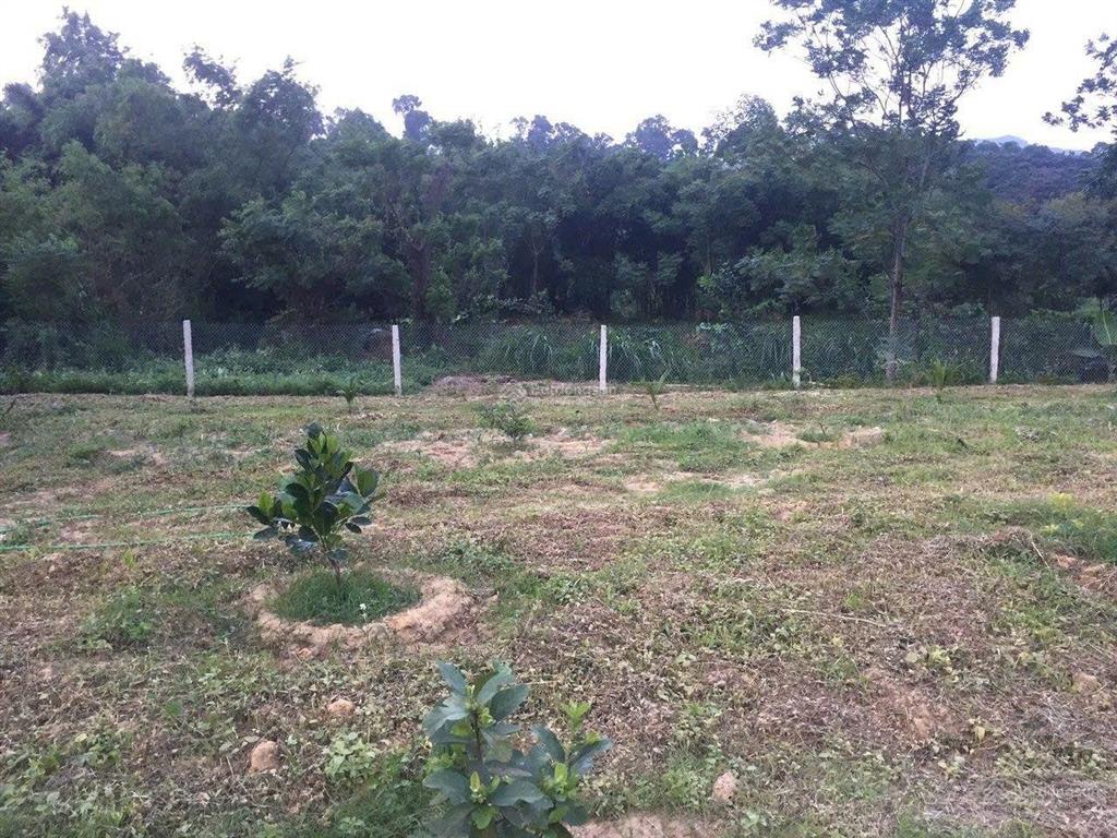 Bán đất nhà vườn nghỉ dưỡng giá rẻ tại xã liên sơn, phú thọ