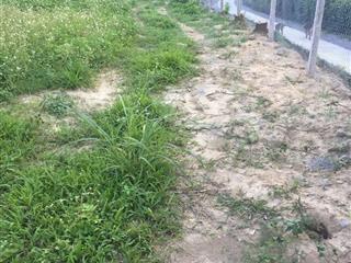 Bán đất nhà vườn nghỉ dưỡng giá rẻ tại xã liên sơn phú thọ