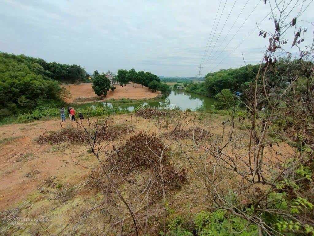 Bán đất 6000m2 giá tốt tại xã cư yên, huyện lương sơn, hòa bình