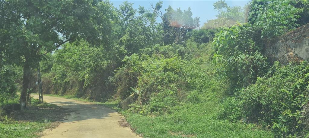 Bán đất khu nhà ở sinh thái suối rè