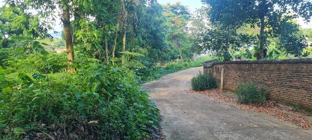 Bán đất view hồ đồng quýt 3651m2 nhà vườn, nghỉ dưỡng tại lương sơn, phú thọ