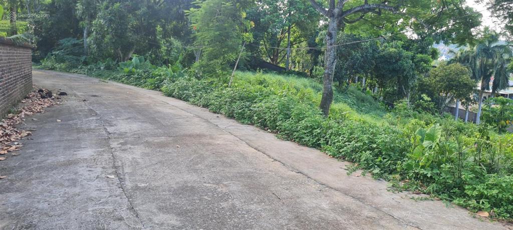 Bán đất view hồ đồng quýt 3651m2 nhà vườn, nghỉ dưỡng tại lương sơn, phú thọ