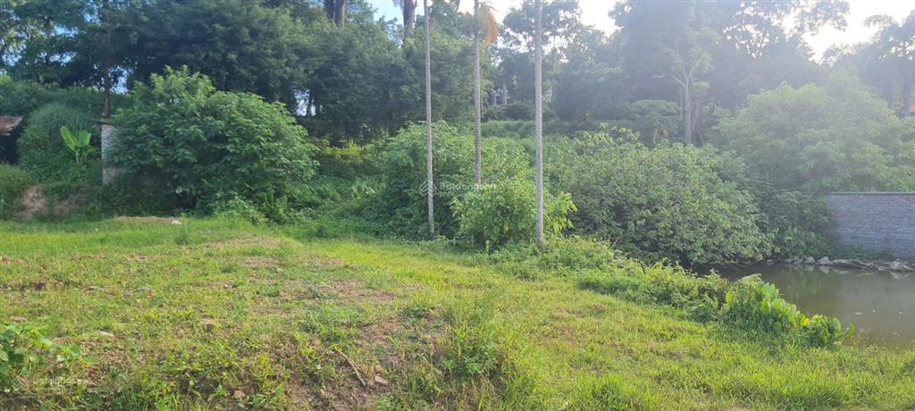 Bán đất view hồ đồng quýt 3651m2 nhà vườn, nghỉ dưỡng tại lương sơn, phú thọ