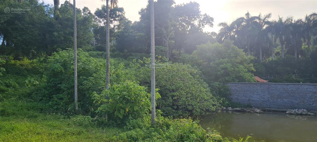 Bán đất view hồ đồng quýt 3651m2 nhà vườn, nghỉ dưỡng tại lương sơn, phú thọ