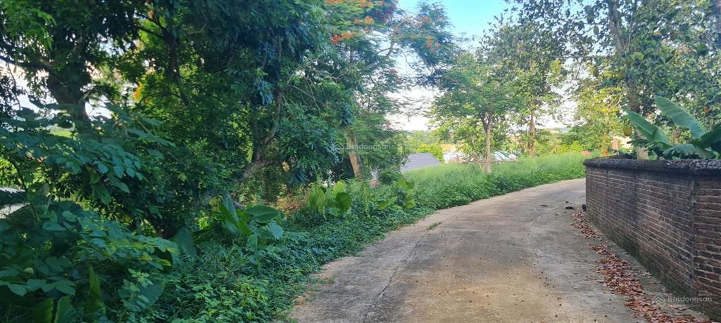 Bán đất view hồ đồng quýt 3651m2 nhà vườn, nghỉ dưỡng tại lương sơn, phú thọ