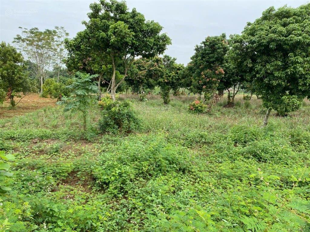 Bán đất mặt đường liên xã tại xã liên sơn, phú thọ