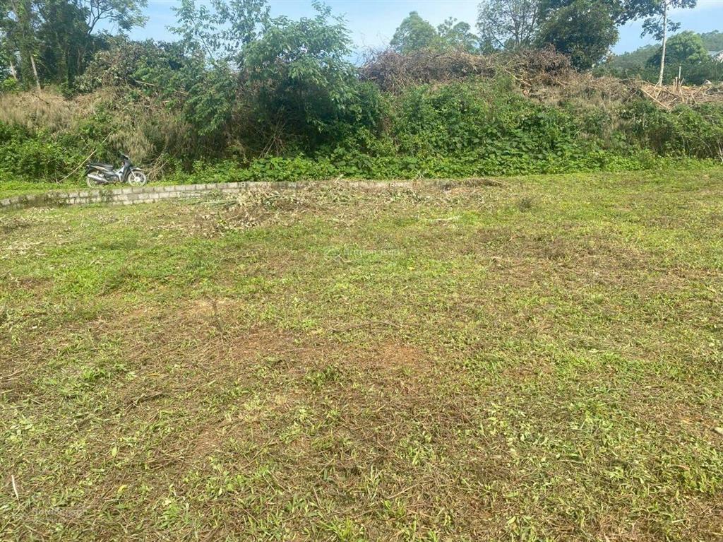 Bán đất nhà vườn nghỉ dưỡng tại xuân mai