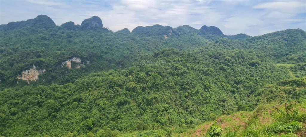 Bán đất trang trại trồng các loại cây tại sơn la