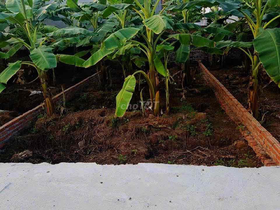 chính chủ bán đất hồng hà đan phượng
