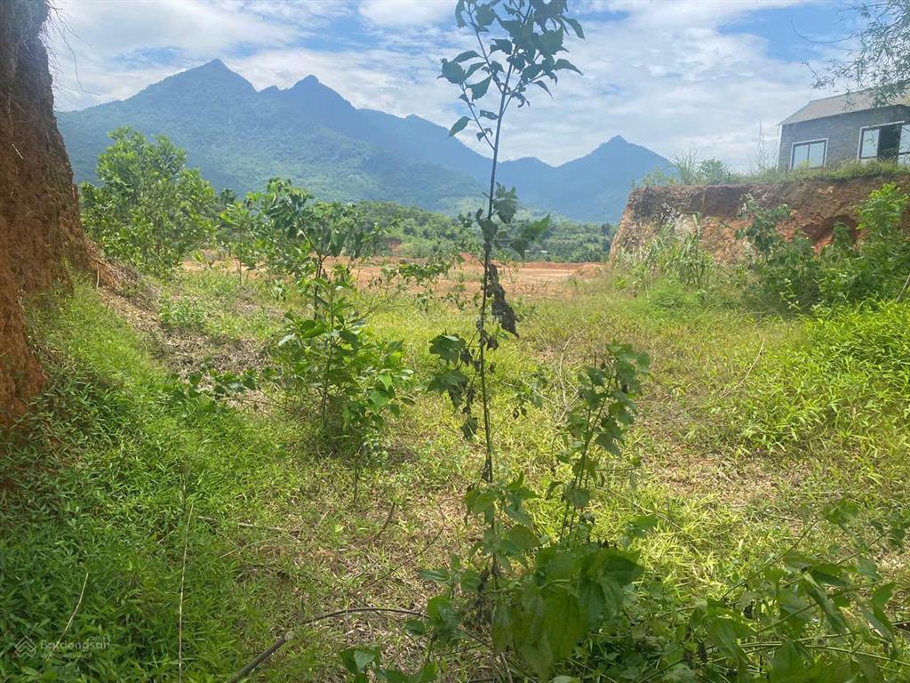 Đất nghỉ dưỡng minh quang ba vì 6369m² view sông đà  giá chỉ 3 triệu/m²