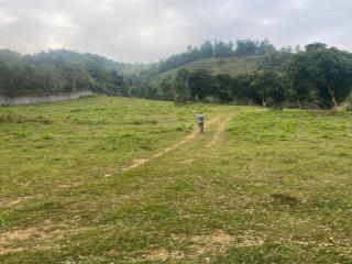 Bán lô đất dt 3.3ha tại phúc tiến kỳ sơn hòa bình  cách hà nội 60km  view đẹp  ô tô tận đất