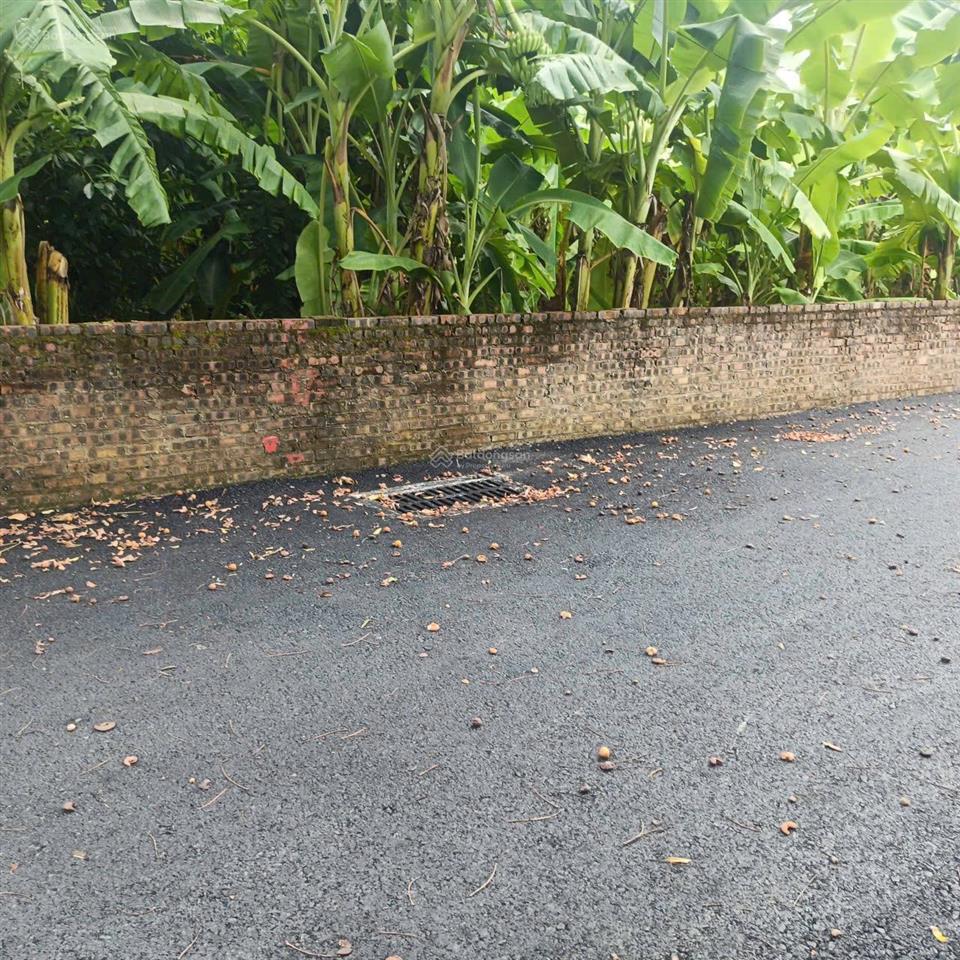 Bán đất xóm miễu tiến xuân, thạch thất, hà nội 105,1m2, gần đhqg hà nội, cần thanh khoản