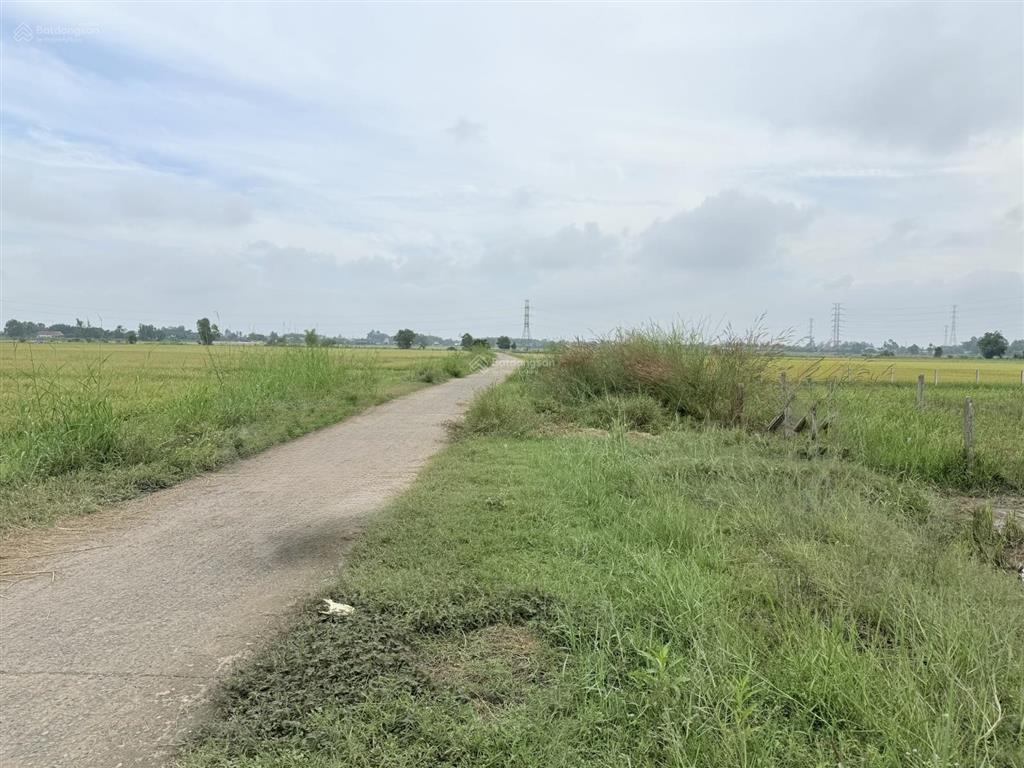 Bán đất tại phan thị sẻ, 1,7 tỷ, 516 m2, view đẹp, nhiều tiện ích