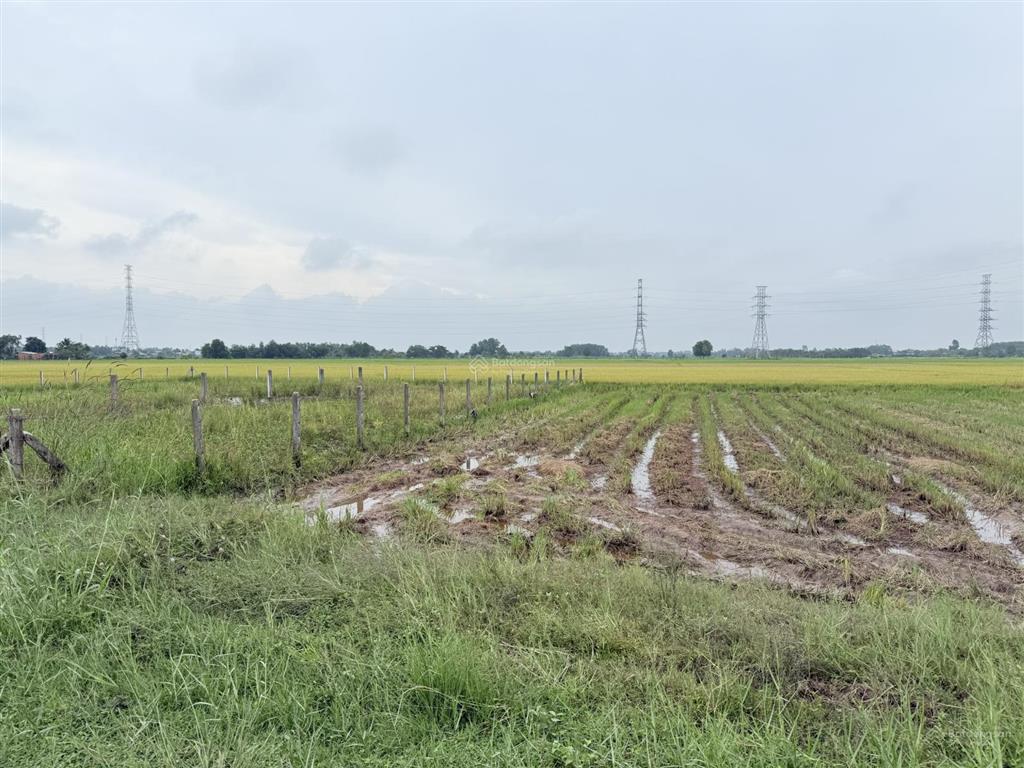 Bán đất tại phan thị sẻ, 1,7 tỷ, 516 m2, view đẹp, nhiều tiện ích