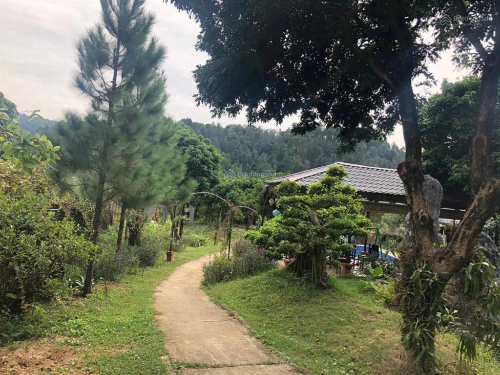 Cần chuyển nhượng khu nghỉ dưỡng sổ đỏ tại sân golf minh trí hà nội view mặt hồ diện tích 7740m2