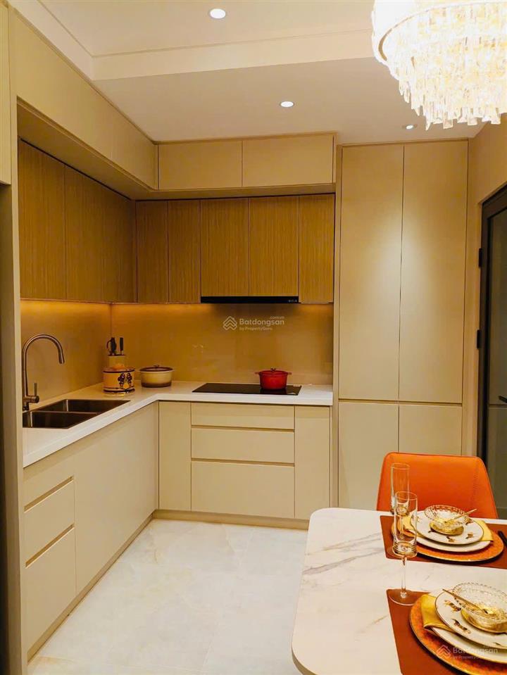 Bán căn hộ 2pn the harmonie phú mỹ hưng chỉ 3,1 tỷ trả trước 600 triệu, ở sướng đầu tư tốt