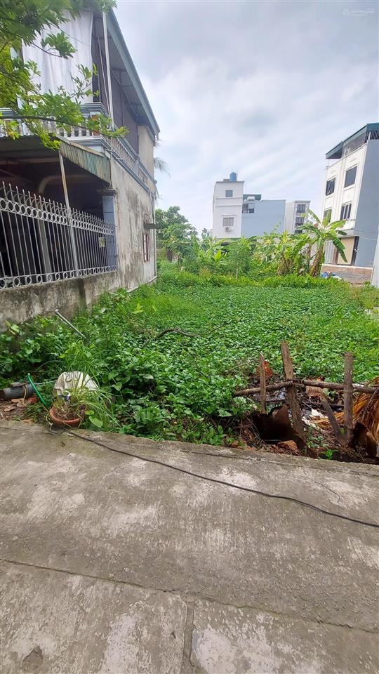 Bán đất thổ cư sổ đỏ 53m² thôn thượng phúc, tả thanh oai