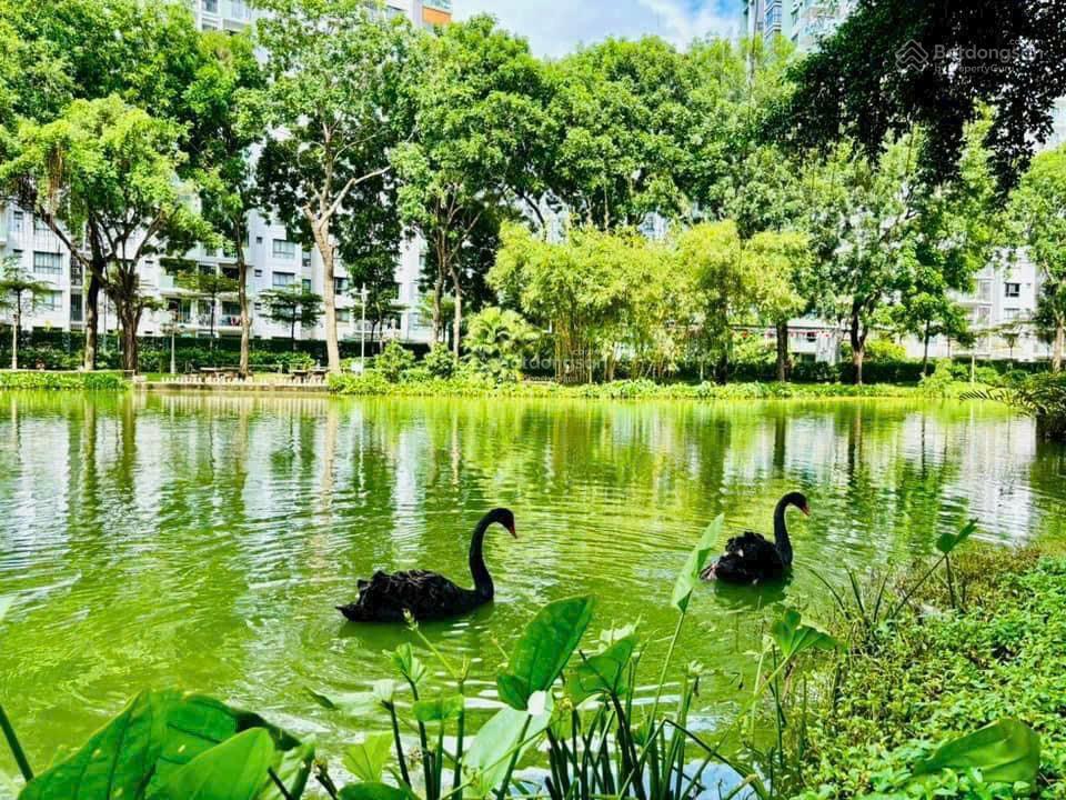 Emerald  celadon city căn hộ 2pn 2wc full nội thất sát cạnh aeon mall tiện ích đầy đủ